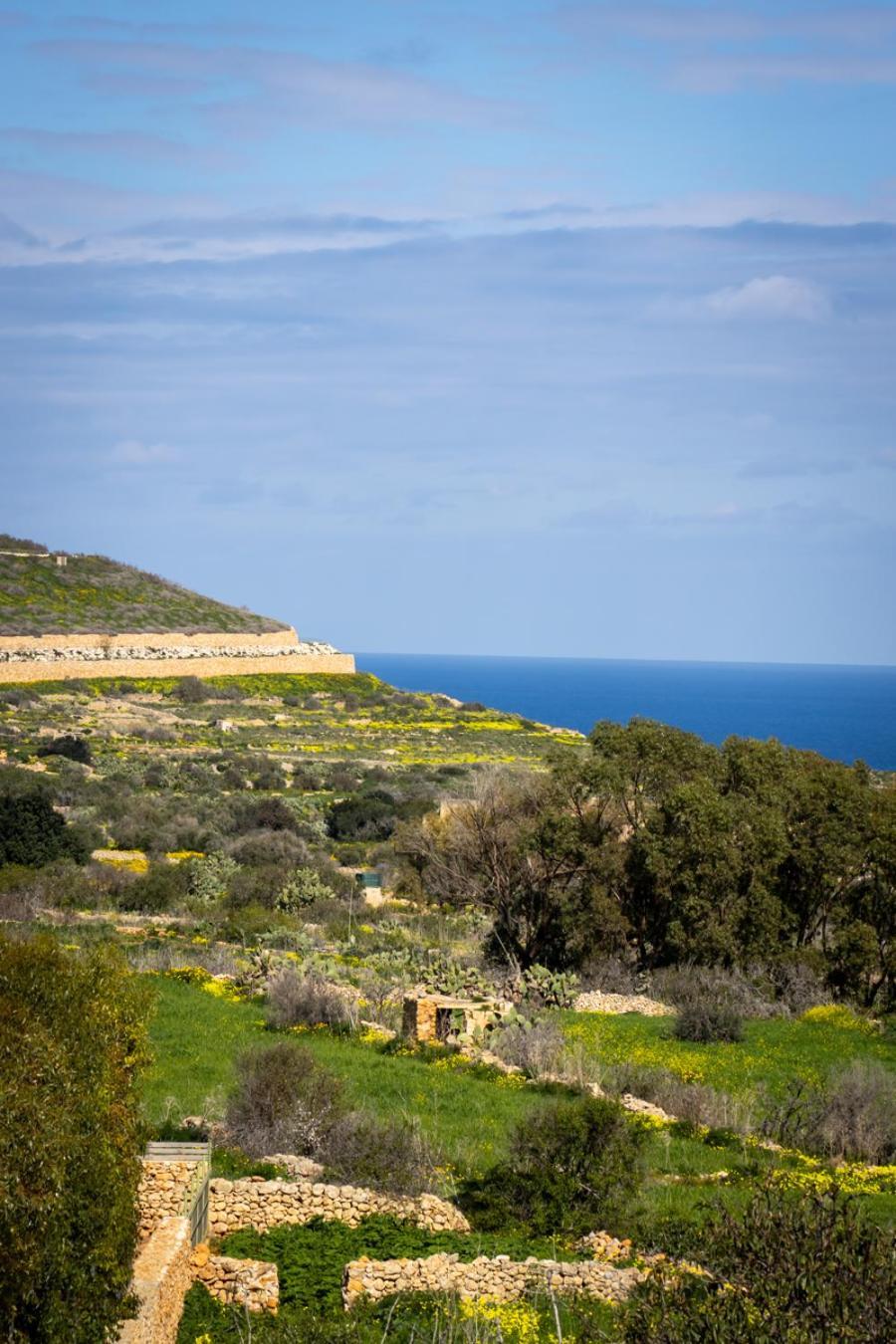 Il Figolla B&B Xagħra Buitenkant foto